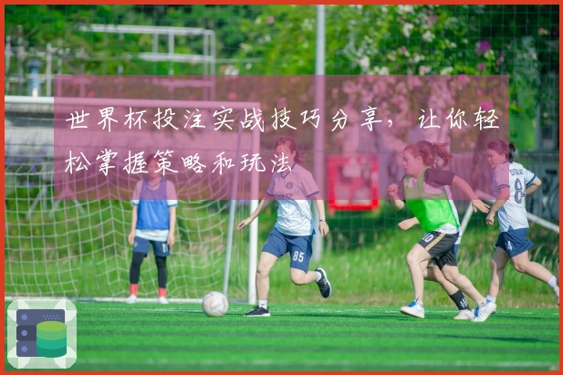 世界杯投注实战技巧分享，让你轻松掌握策略和玩法