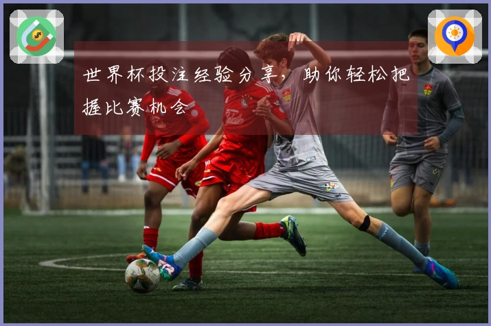 世界杯投注经验分享，助你轻松把握比赛机会