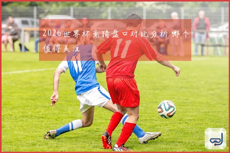 2026世界杯竞猜盘口对比分析 哪个值得关注