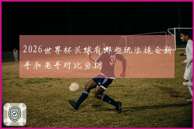 2026世界杯买球有哪些玩法适合新手和老手对比分析