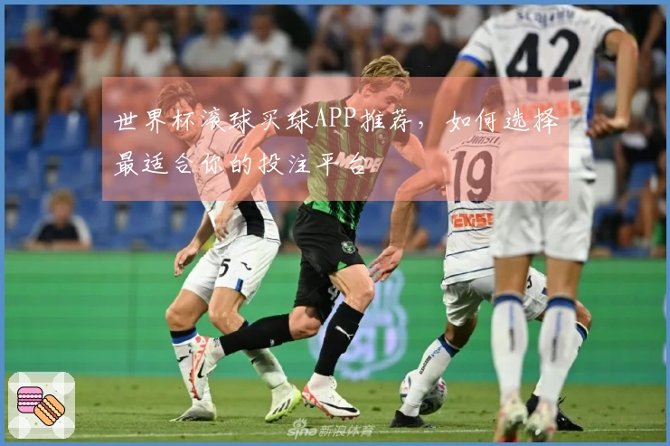 世界杯滚球买球APP推荐，如何选择最适合你的投注平台