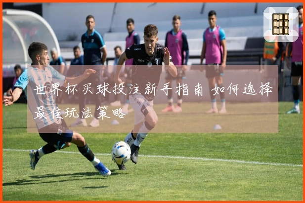 世界杯买球投注新手指南 如何选择最佳玩法策略