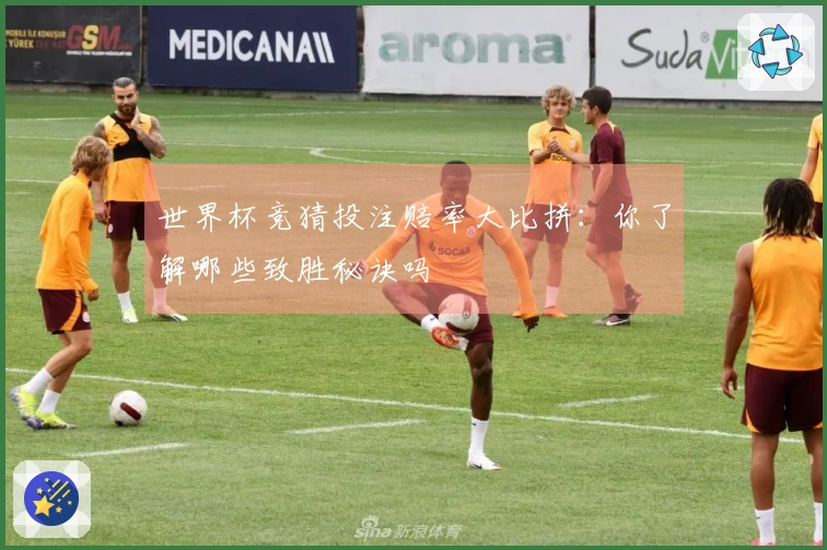 世界杯竞猜投注赔率大比拼：你了解哪些致胜秘诀吗