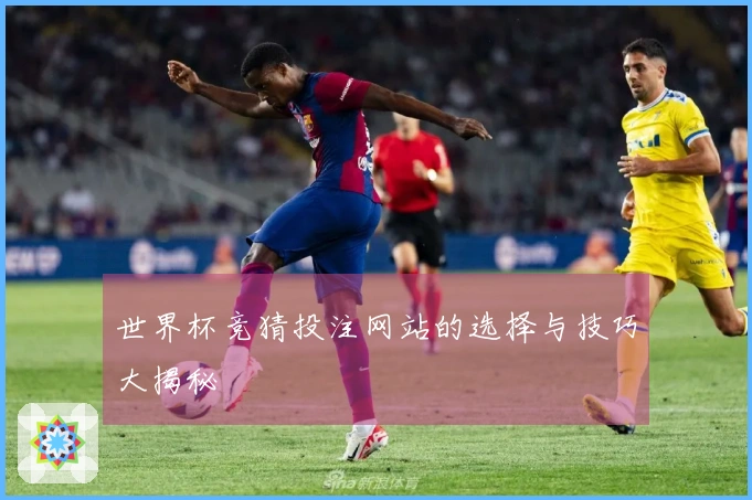 世界杯竞猜投注网站的选择与技巧大揭秘