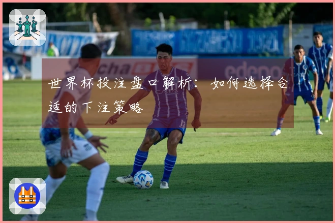 世界杯投注盘口解析：如何选择合适的下注策略