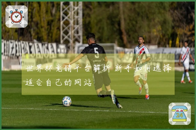 世界杯竞猜平台解析 新手如何选择适合自己的网站