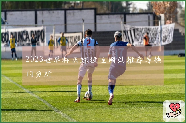 2023世界杯买球投注网站推荐与热门分析