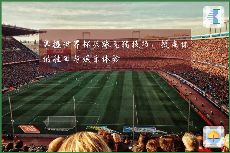 掌握世界杯买球竞猜技巧，提高你的胜率与娱乐体验