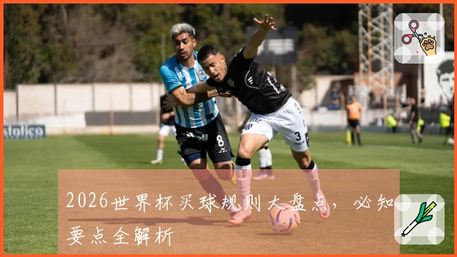 2026世界杯买球规则大盘点，必知要点全解析