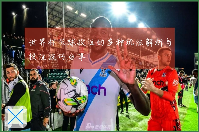 世界杯买球投注的多种玩法解析与投注技巧分享