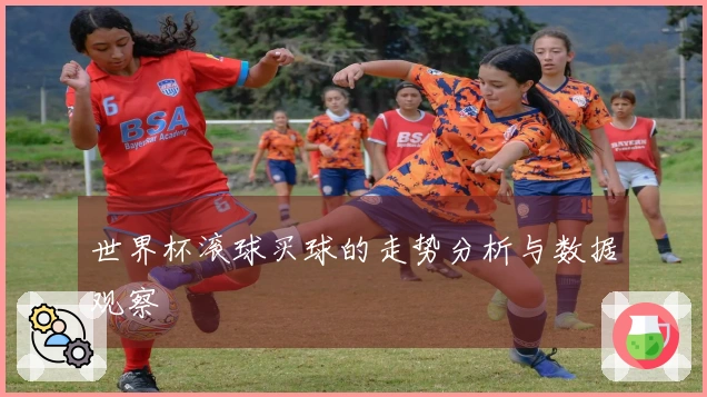 世界杯滚球买球的走势分析与数据观察