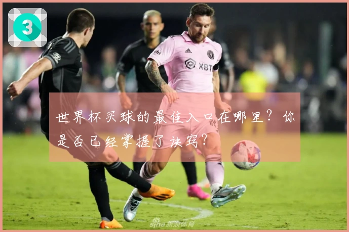 世界杯买球的最佳入口在哪里？你是否已经掌握了诀窍？