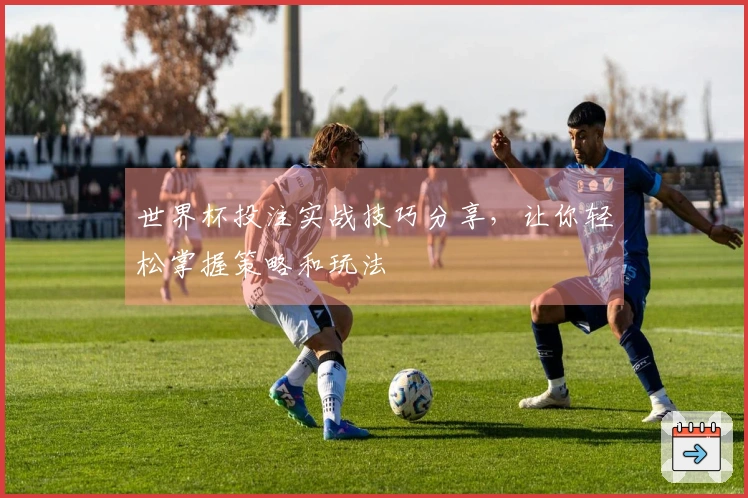 世界杯投注实战技巧分享，让你轻松掌握策略和玩法