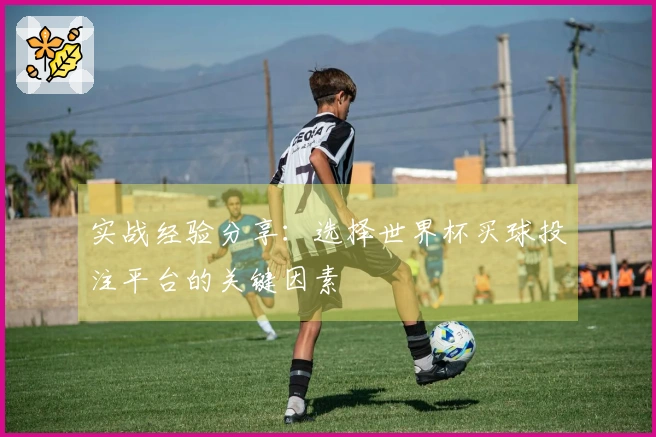 实战经验分享：选择世界杯买球投注平台的关键因素