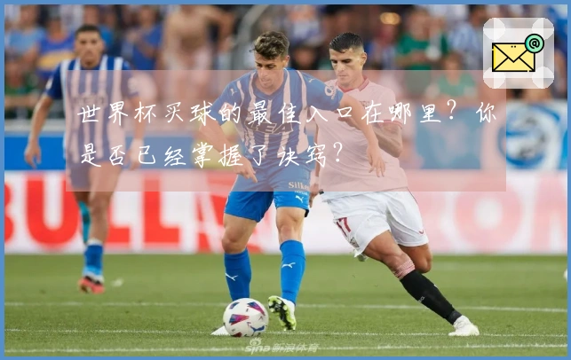 世界杯买球的最佳入口在哪里？你是否已经掌握了诀窍？
