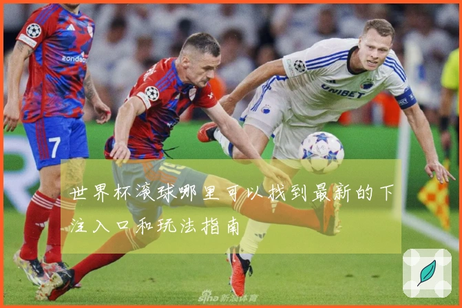 世界杯滚球哪里可以找到最新的下注入口和玩法指南