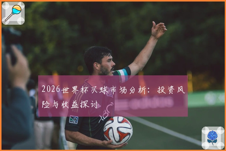 2026世界杯买球市场分析：投资风险与收益探讨