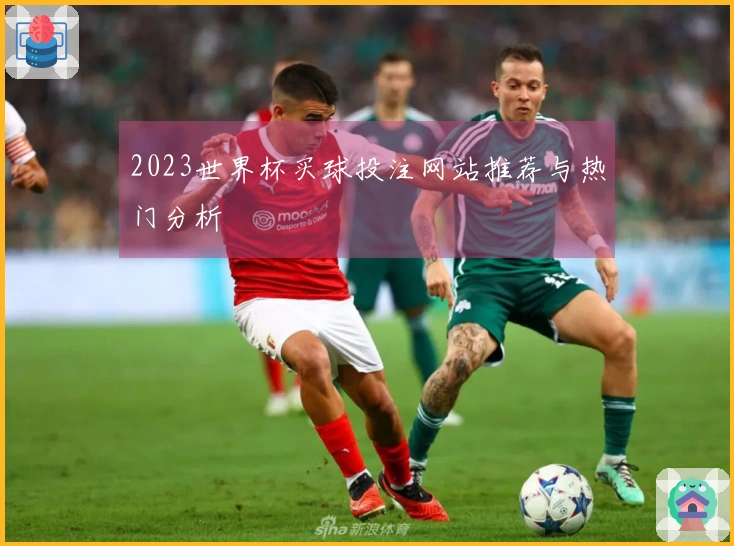 2023世界杯买球投注网站推荐与热门分析