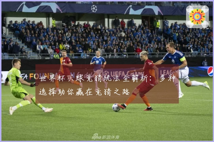 世界杯买球竞猜玩法全解析：多种选择助你赢在竞猜之路